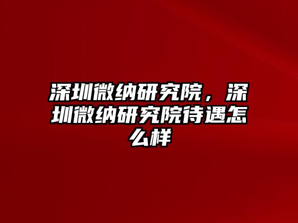 深圳微納研究院，深圳微納研究院待遇怎么樣